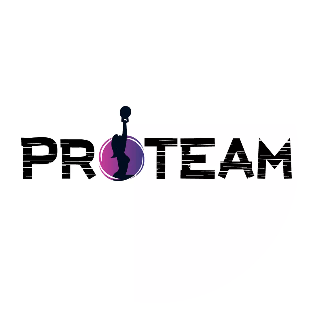 לוגו לאתר proteam )