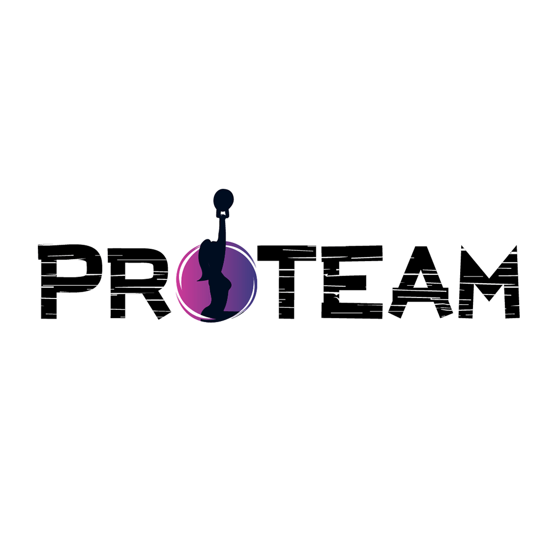 לוגו לאתר proteam )